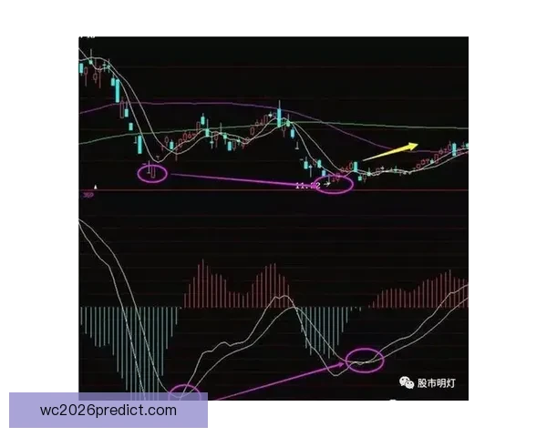 世界杯竞猜盘口分析与预测技巧 轻松把握赛前投注机会