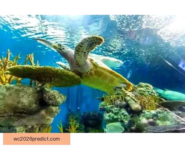 世界杯赛程深度解析与精准竞猜预测全方位指南